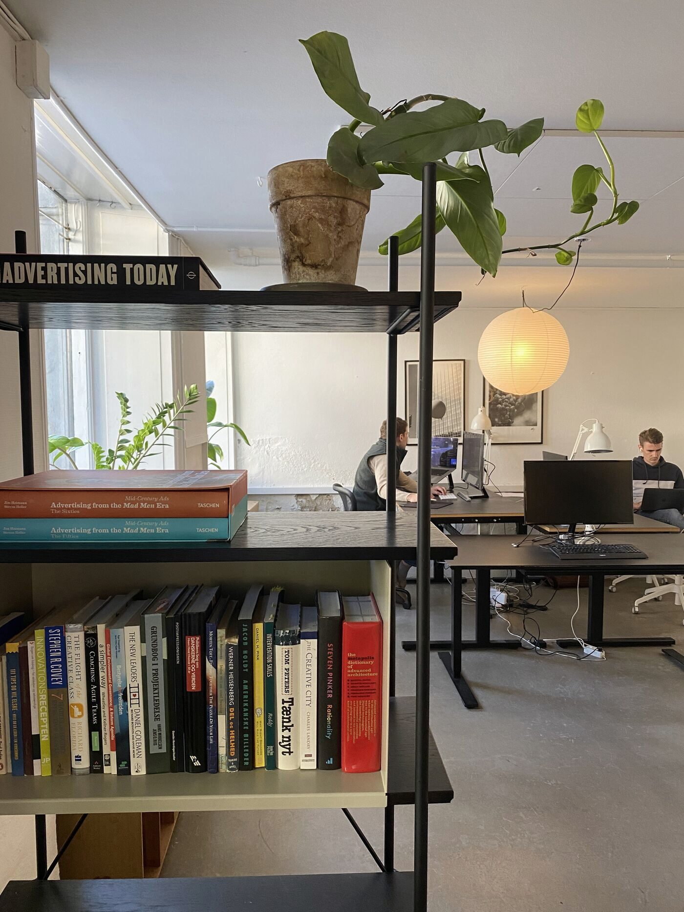 Reol med bøger og en plante, med kolleger ved skrivebordene i baggrunden